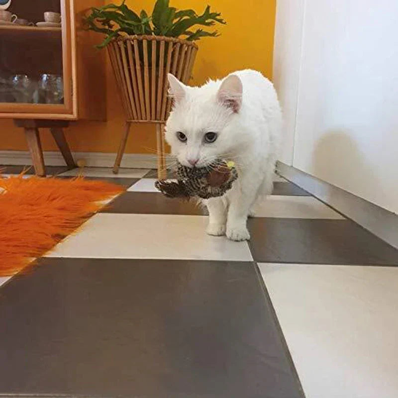 PurrTweet - Interactief tsjilpend vogelspeeltje voor katten