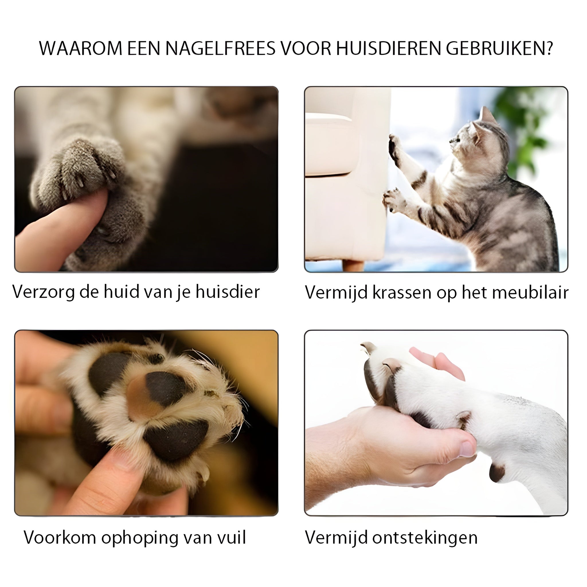 PootPerfect™ - De Ultieme Nagelverzorger voor je Huisdier