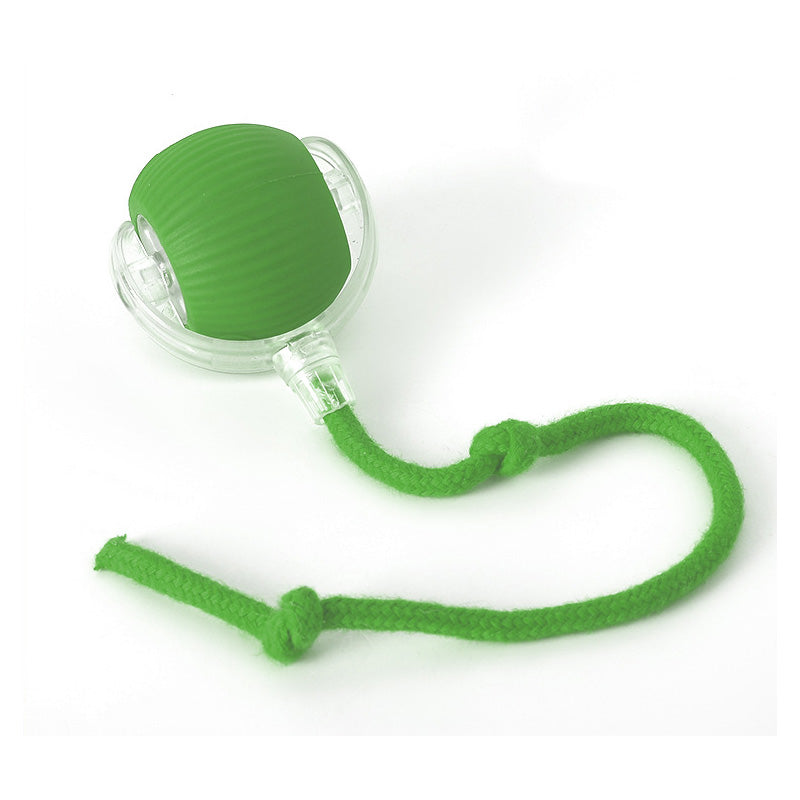 JachtJoy™ – Voor huisdieren die jagen, springen en lachen