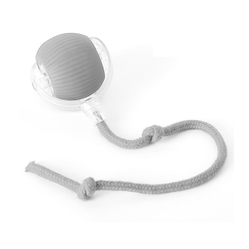 JachtJoy™ – Voor huisdieren die jagen, springen en lachen