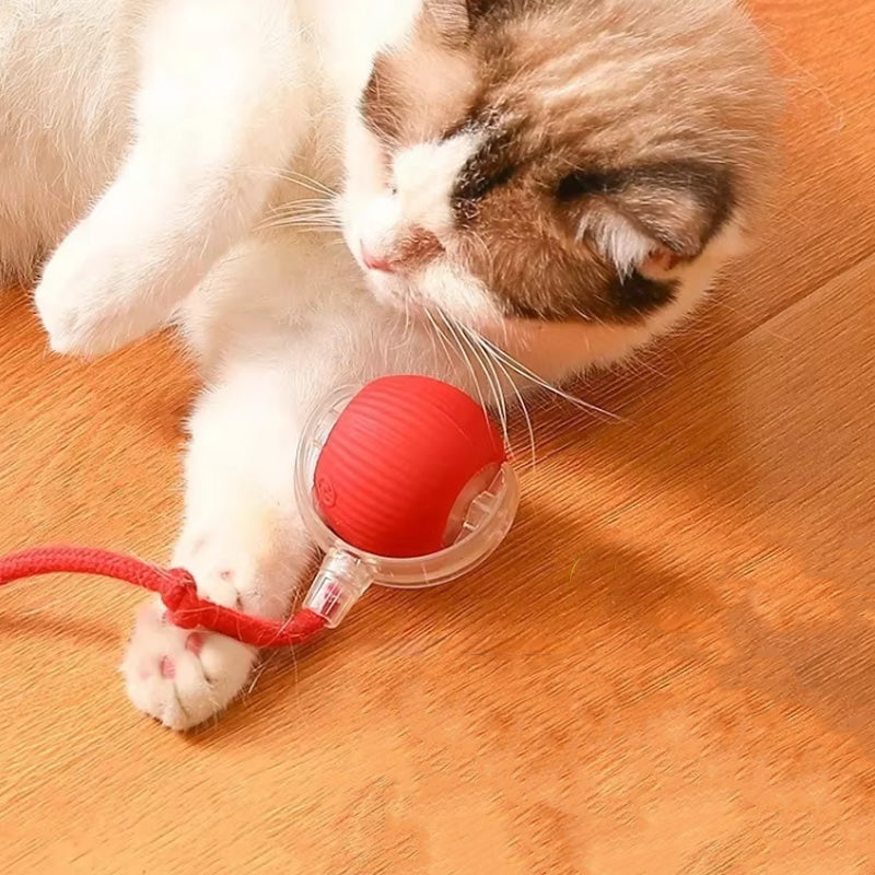 JachtJoy™ – Voor huisdieren die jagen, springen en lachen