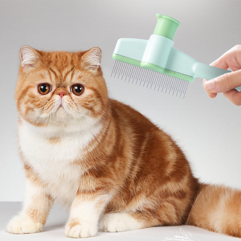 PurrEase™ Kattenborstel – Voor een Gezond Vachtje & Minder Haar in Huis 1+1 GRATIS