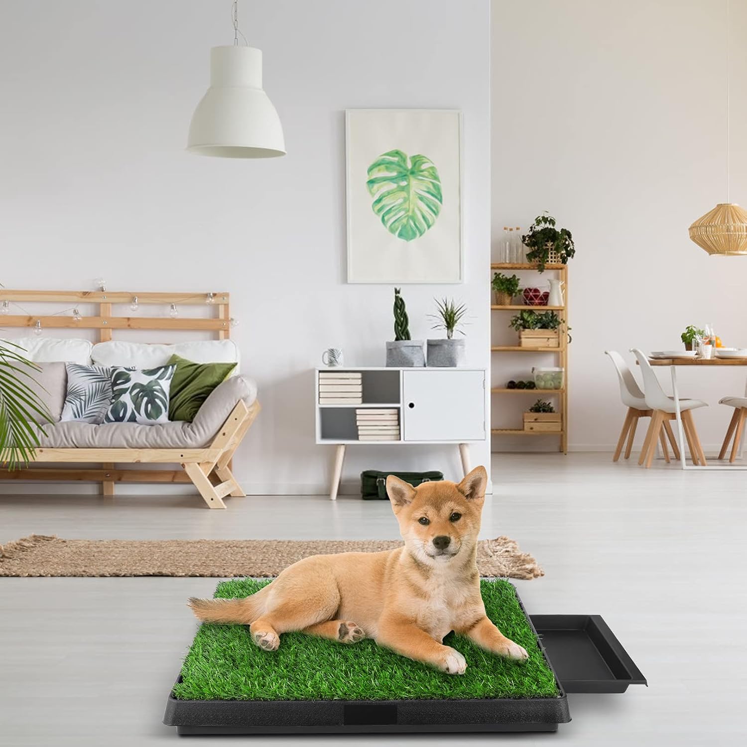 Pawza - Het ultieme honden toilet