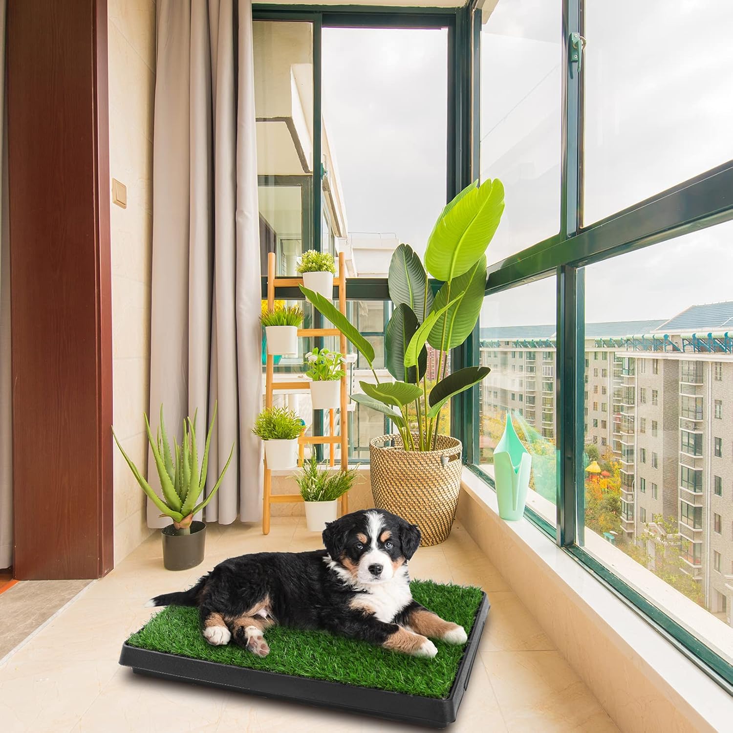 Pawza - Het ultieme honden toilet