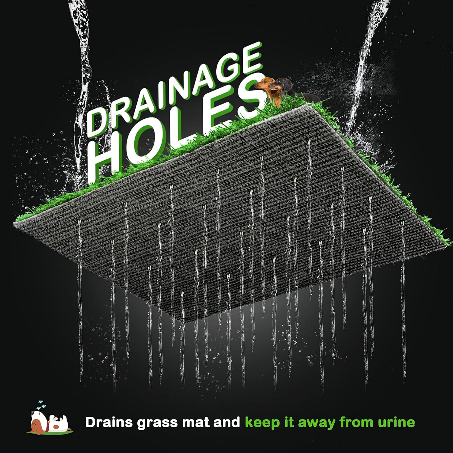 Pawza - Het ultieme honden toilet