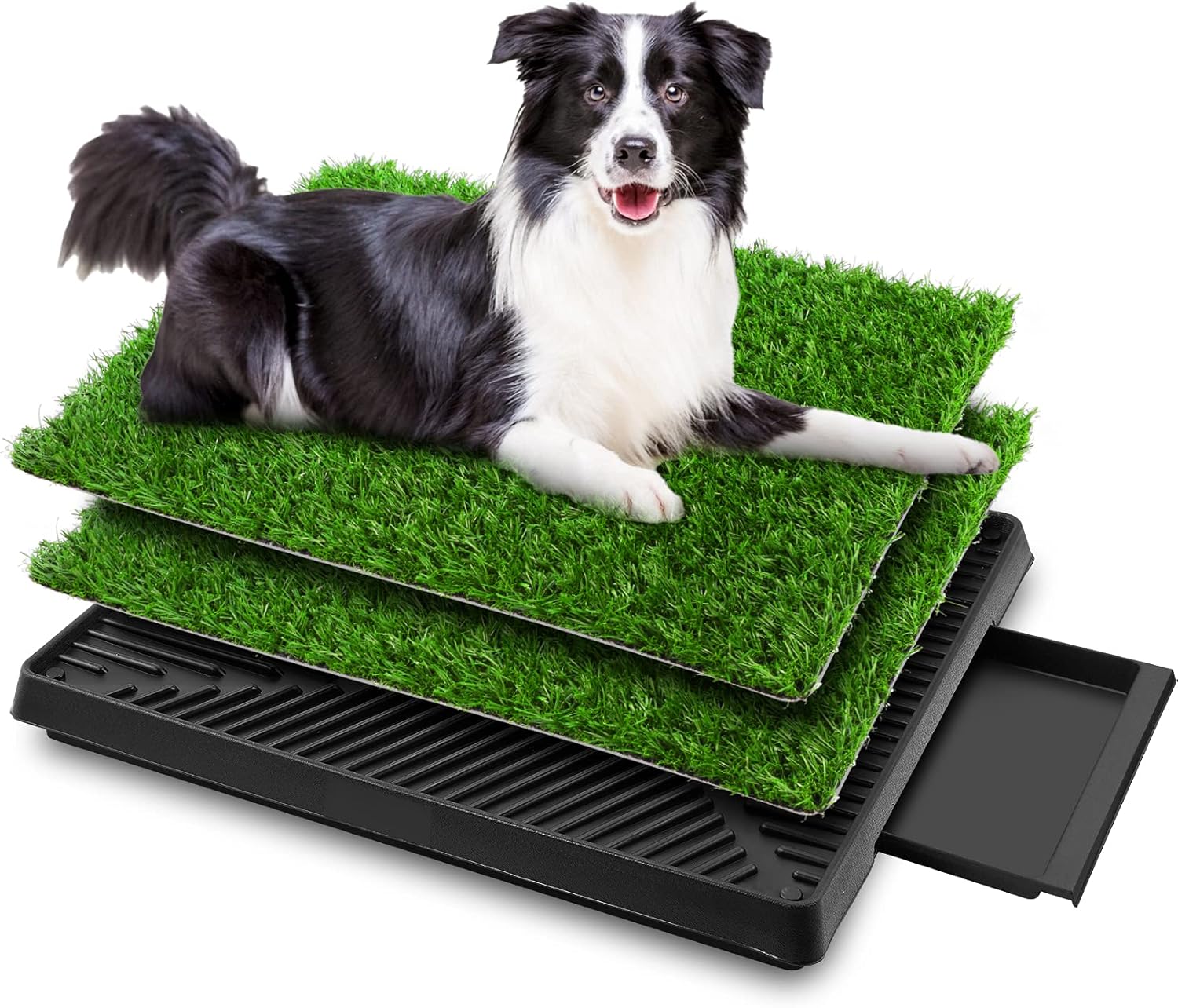 Pawza - Het ultieme honden toilet