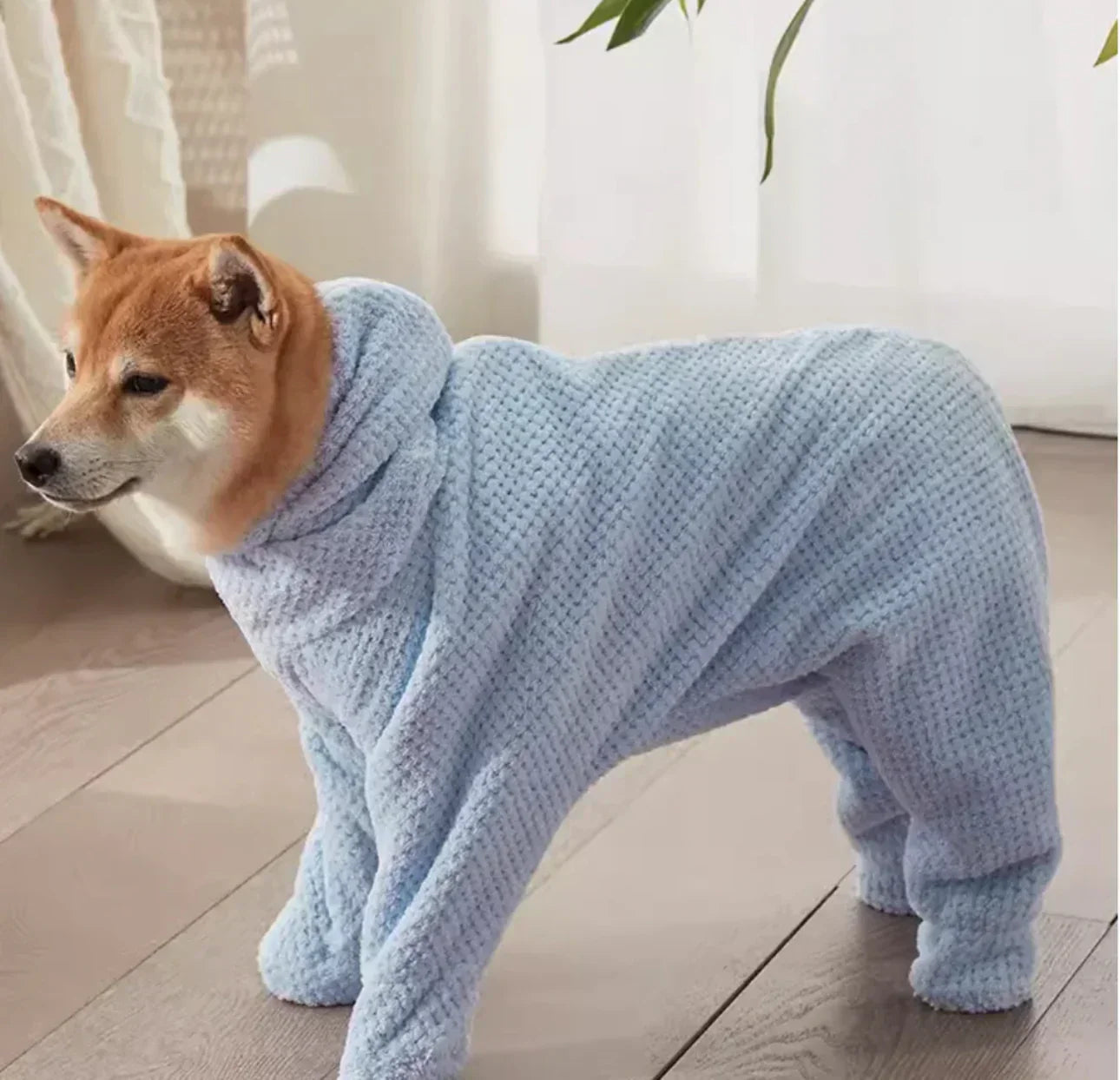 PawWrap - Sneldrogende, behaaglijke bescherming [Laatste dag korting]