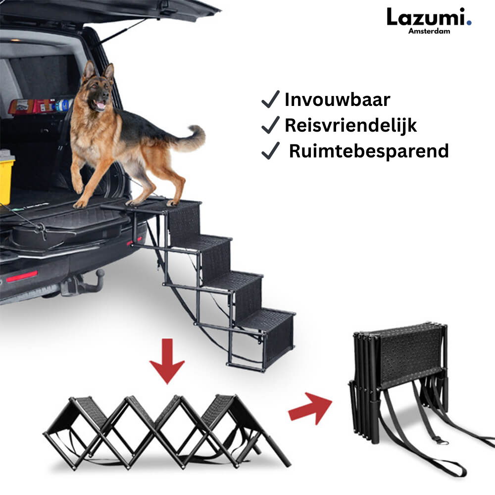 BuddyBoost – De veilige instap voor elke hond