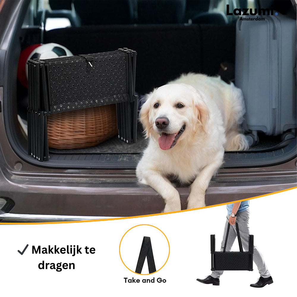 BuddyBoost – De veilige instap voor elke hond