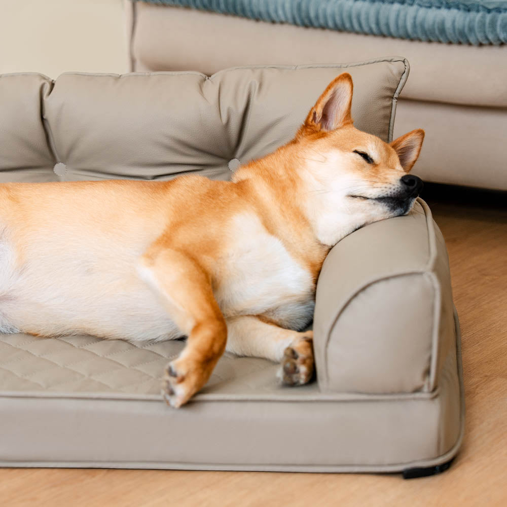 🐾 CoreLounge™ | Luxe Opvouwbaar Orthopedisch Hondenbed van Kunstleer – Extra Groot & Ondersteunend