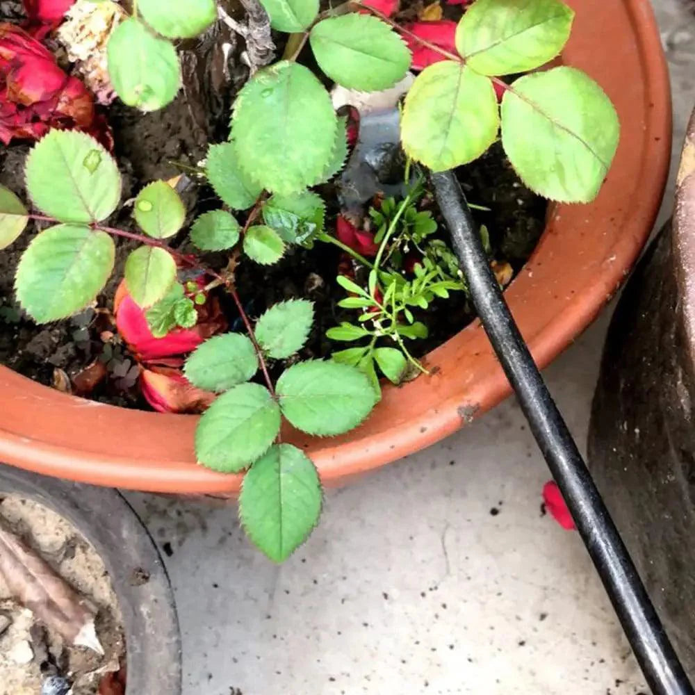 Harky - Onkruidverwijderaar | Onkruidwieder - 50% korting