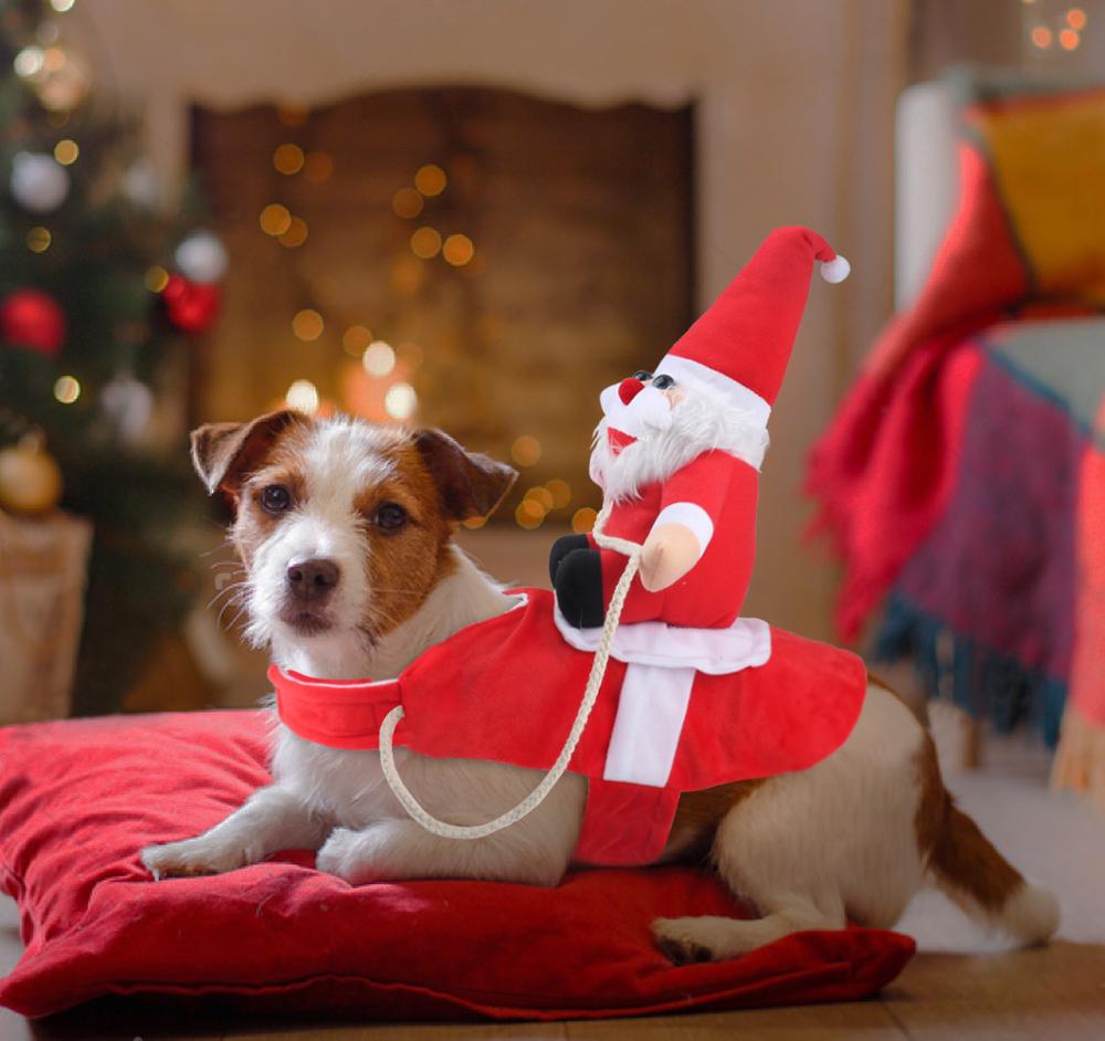50% KORTING | HollyPaws - gezellige, verstelbare kerstoutfit voor honden [Laatste dag korting]