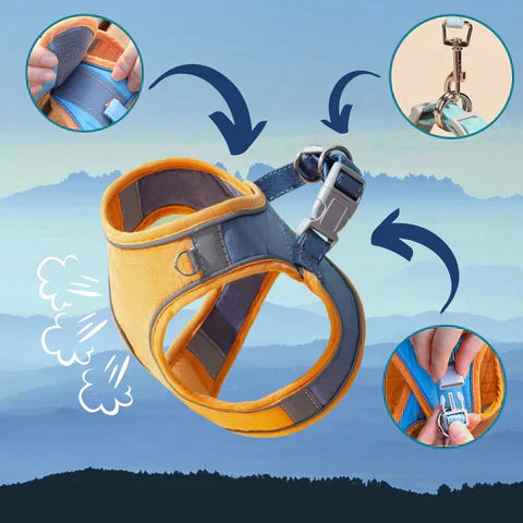 50% KORTING | CatGuard - Kattentuigje met reflecterende strepen [Laatste dag korting]