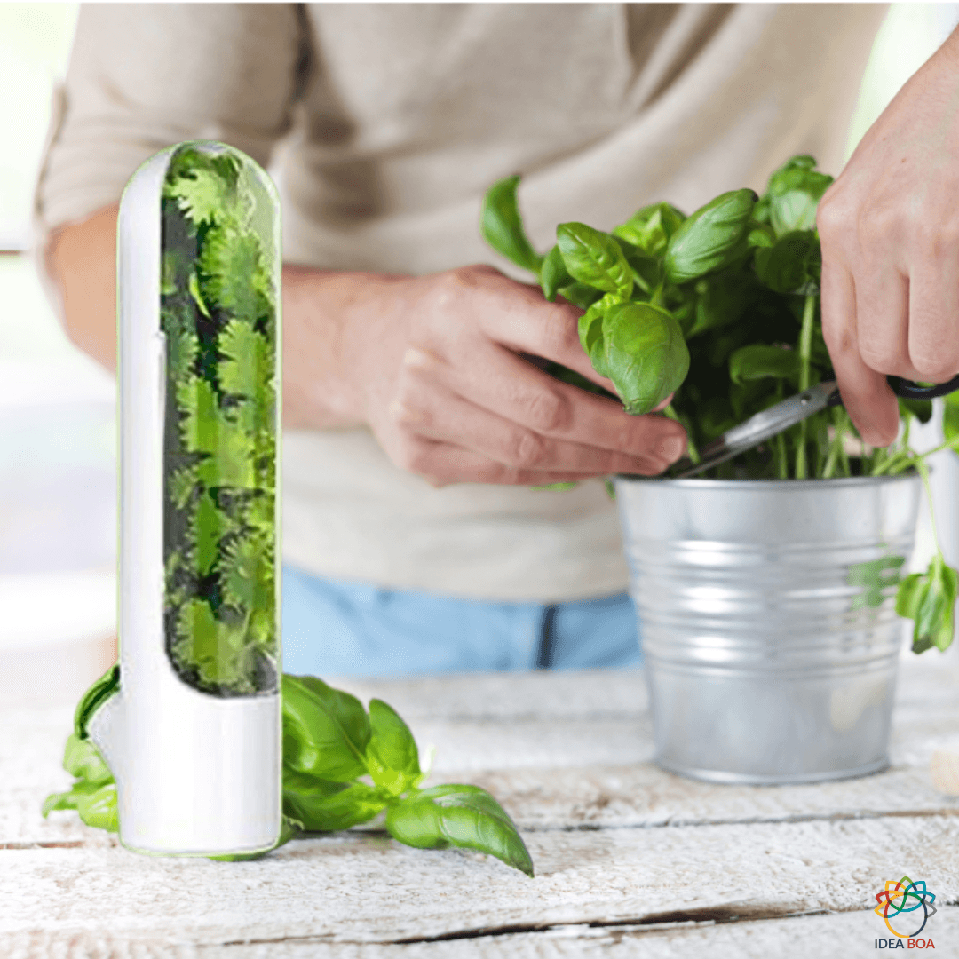 Kruidenvershouder en opslagcontainer - Houd uw kruiden vers | 1+1 GRATIS