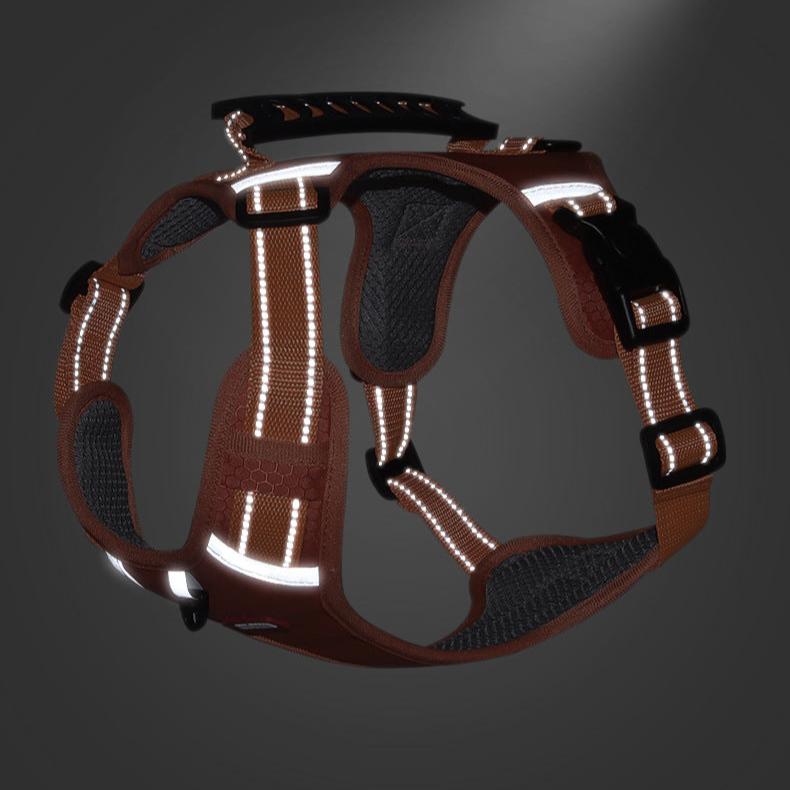 GripBuddy – Comfort voor je hond, controle voor jou