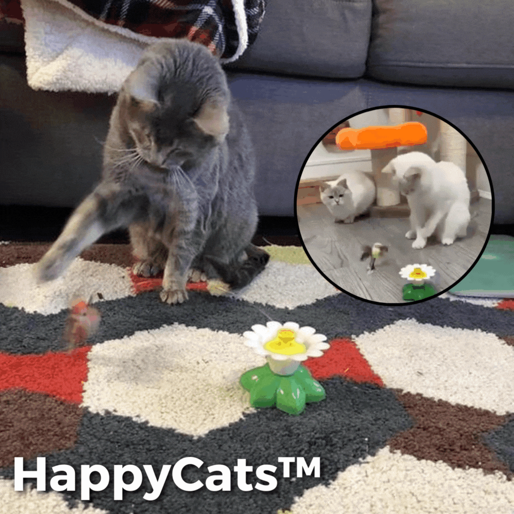 50% KORTING | HappyCats™ - Interactief vogelspeelgoed voor katten [Laatste dag korting]