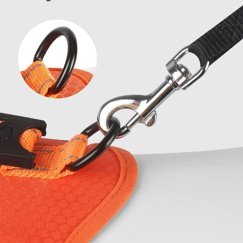 GripBuddy – Comfort voor je hond, controle voor jou