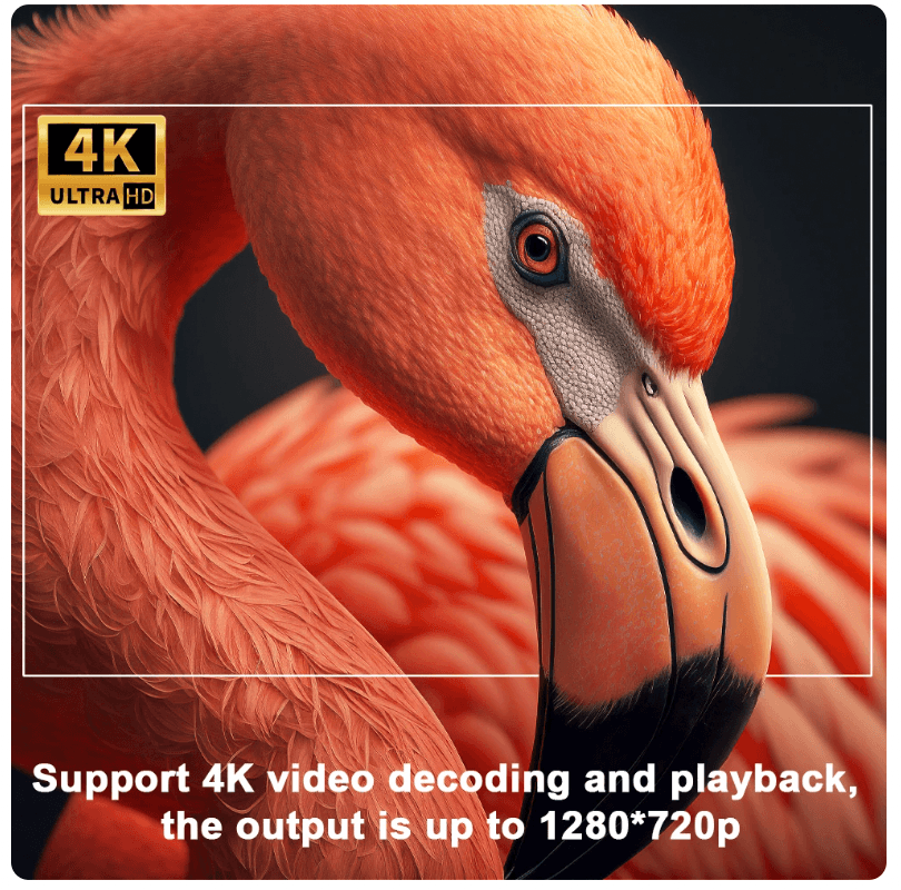 Vivid 4K™ | Muur projector