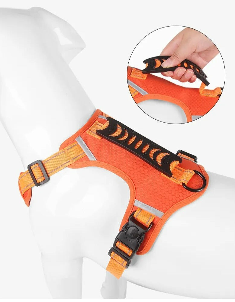 GripBuddy – Comfort voor je hond, controle voor jou