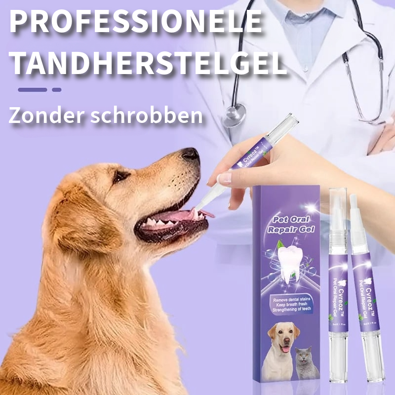 TandZorg - Voor een stralende glimlach en frisse adem!