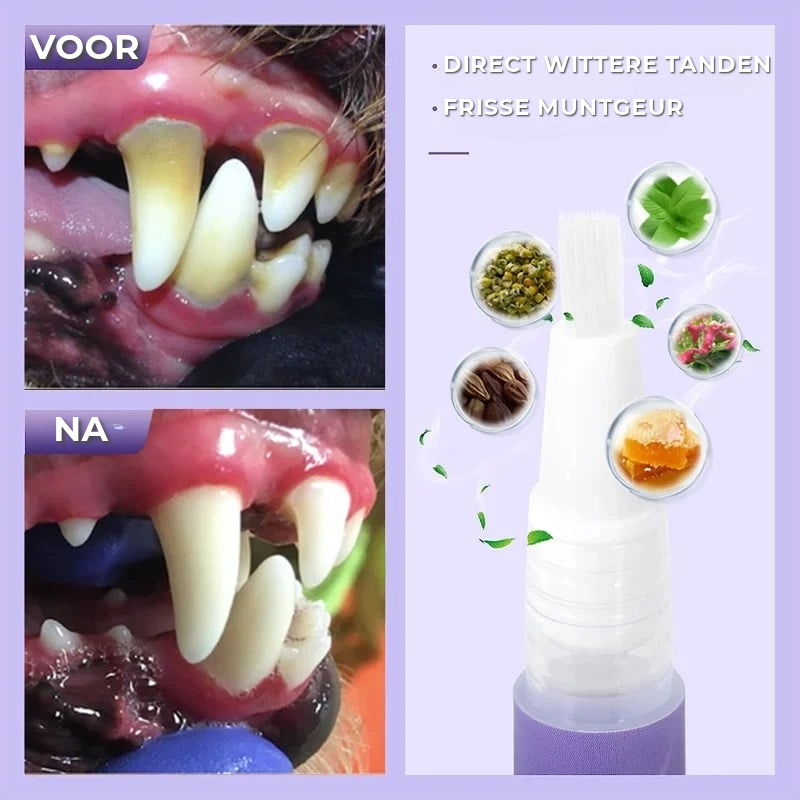 TandZorg - Voor een stralende glimlach en frisse adem!