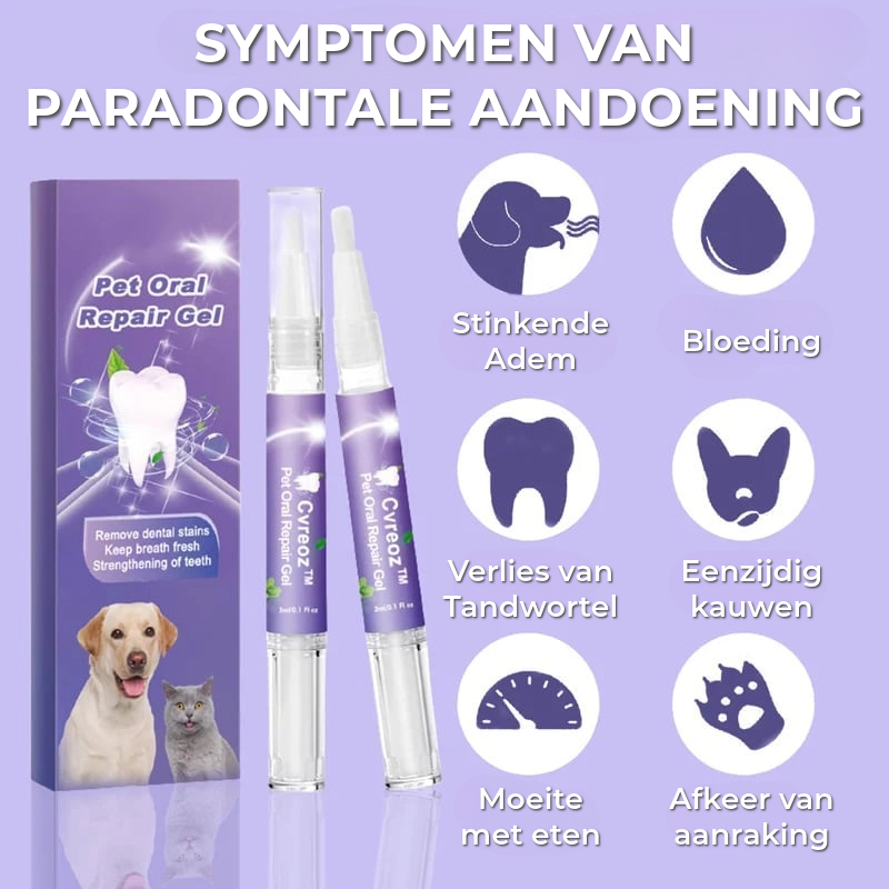 TandZorg - Voor een stralende glimlach en frisse adem!