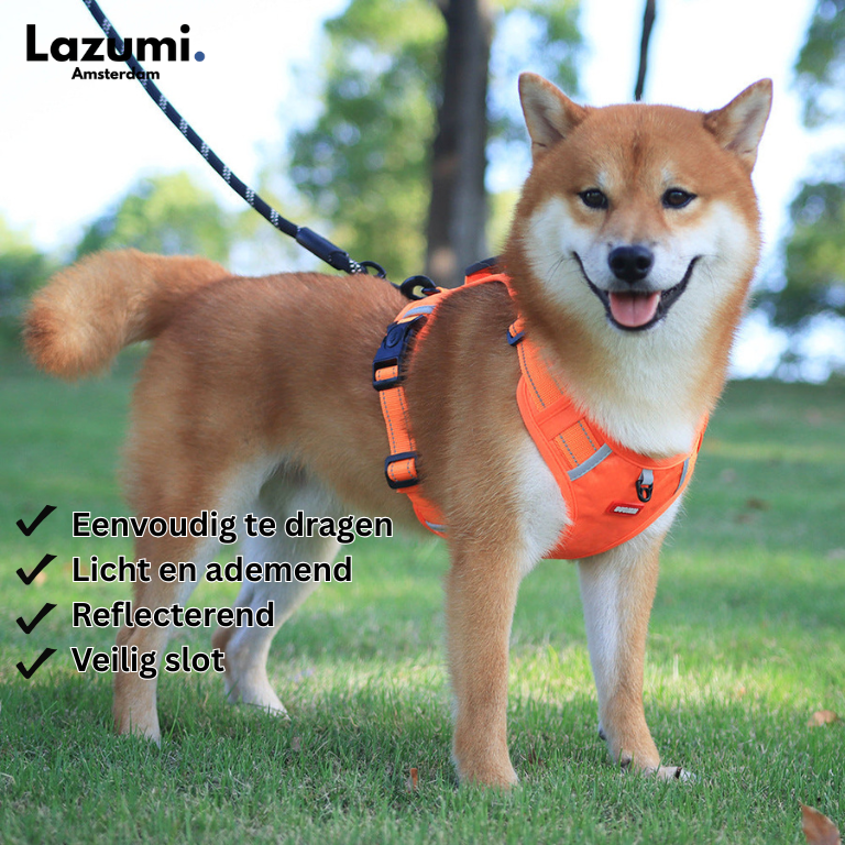 GripBuddy – Comfort voor je hond, controle voor jou