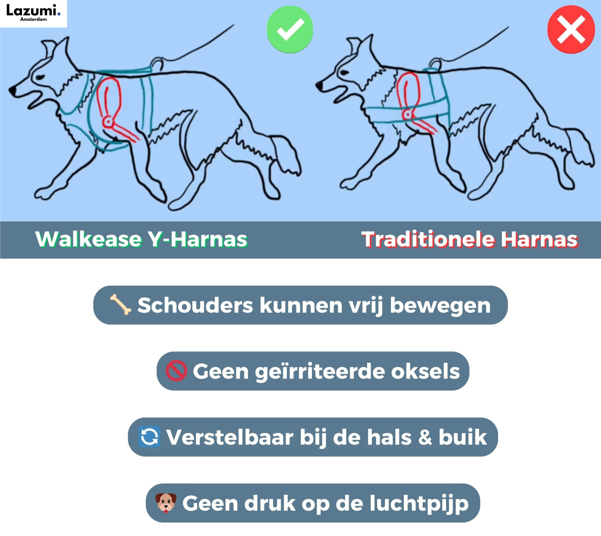 GripBuddy – Comfort voor je hond, controle voor jou