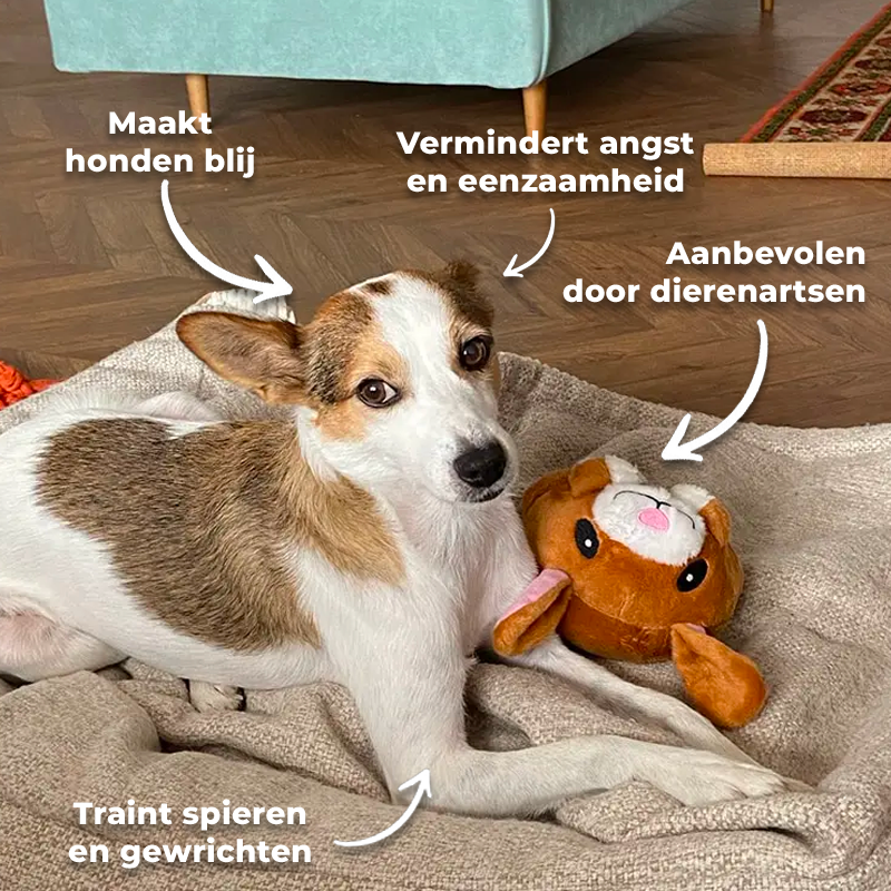 PupToy - het interactieve hondenspeelgoed [Laatste dag korting]