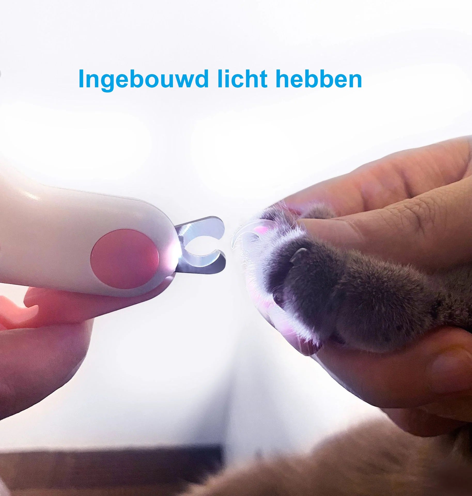 GlowTrim – De Slimme Nagelknipper voor Katten, Veilig en Stressvrij!
