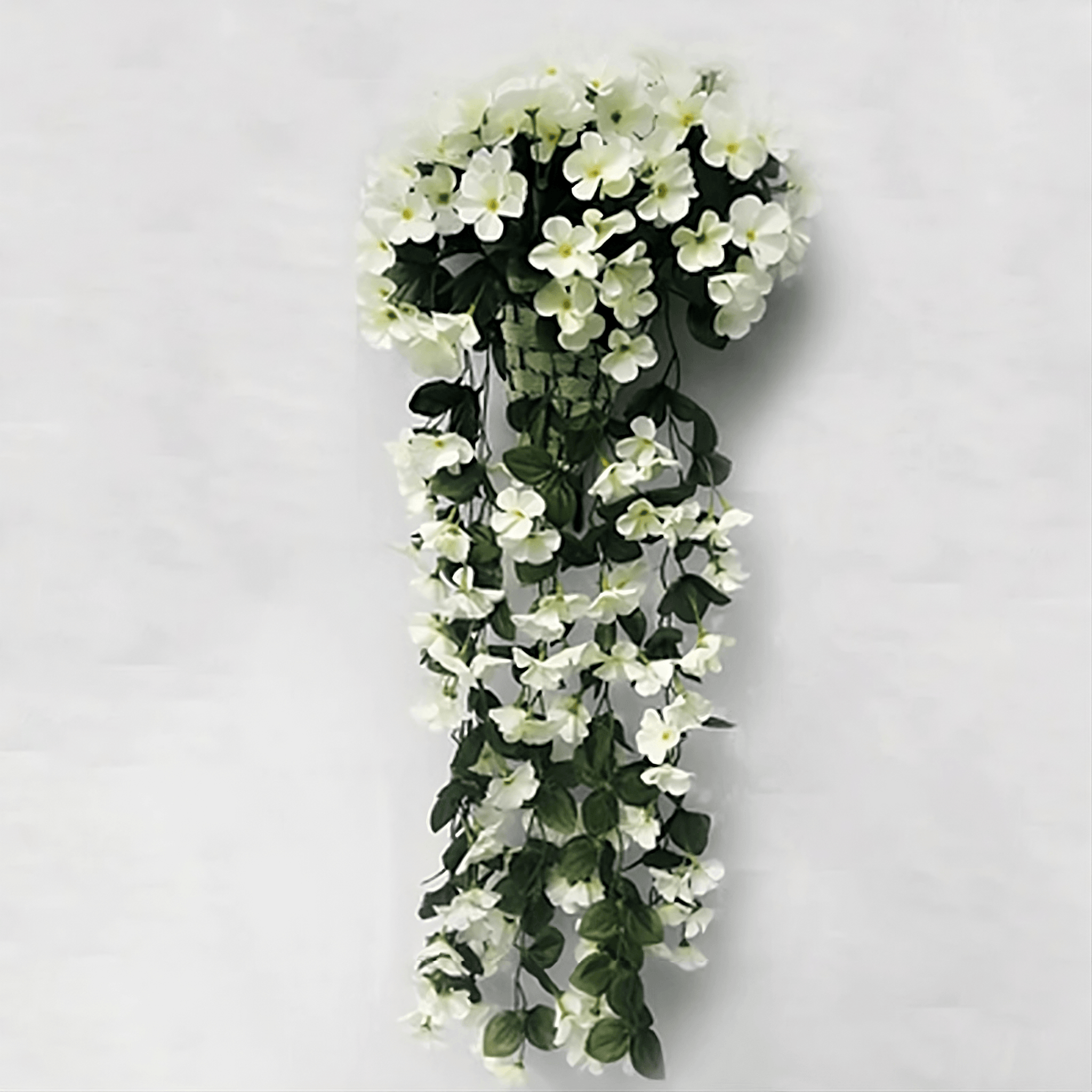 Bloemrijk Hang-Bloemen (1+1 GRATIS)